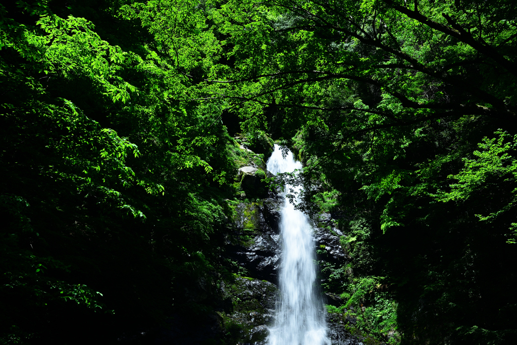 山中雄滝