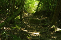 IMGP4557_2