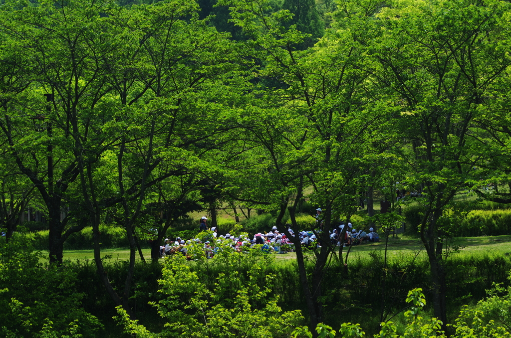 爽風＿初夏の彩り