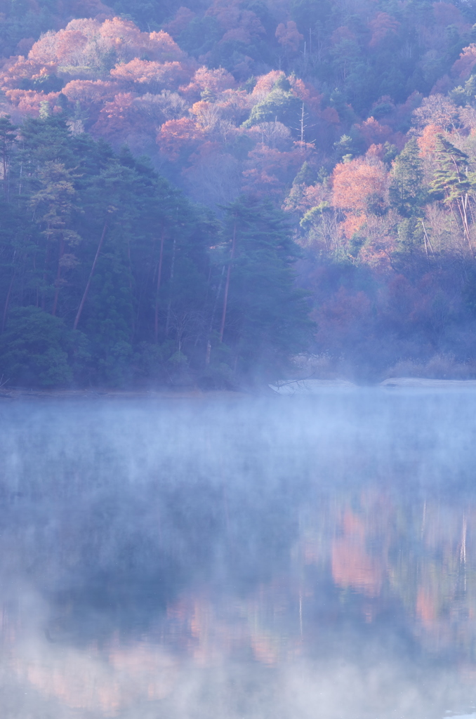 小野池。情景。。