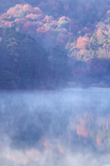 小野池。情景。。