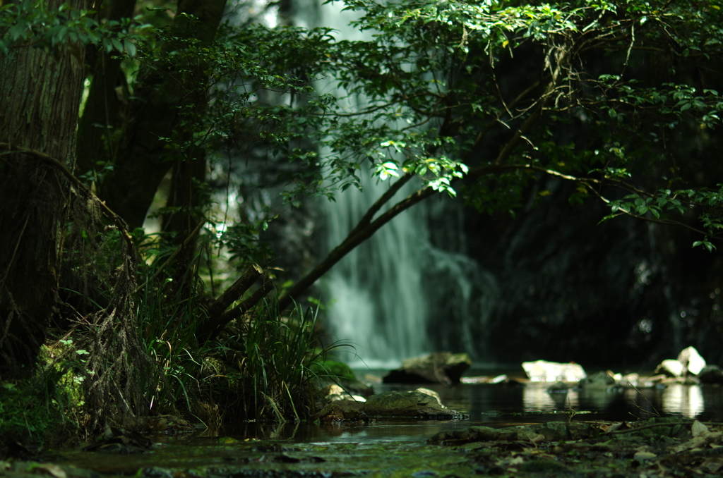 ソコに在る風景。。