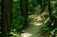 IMGP4645_2