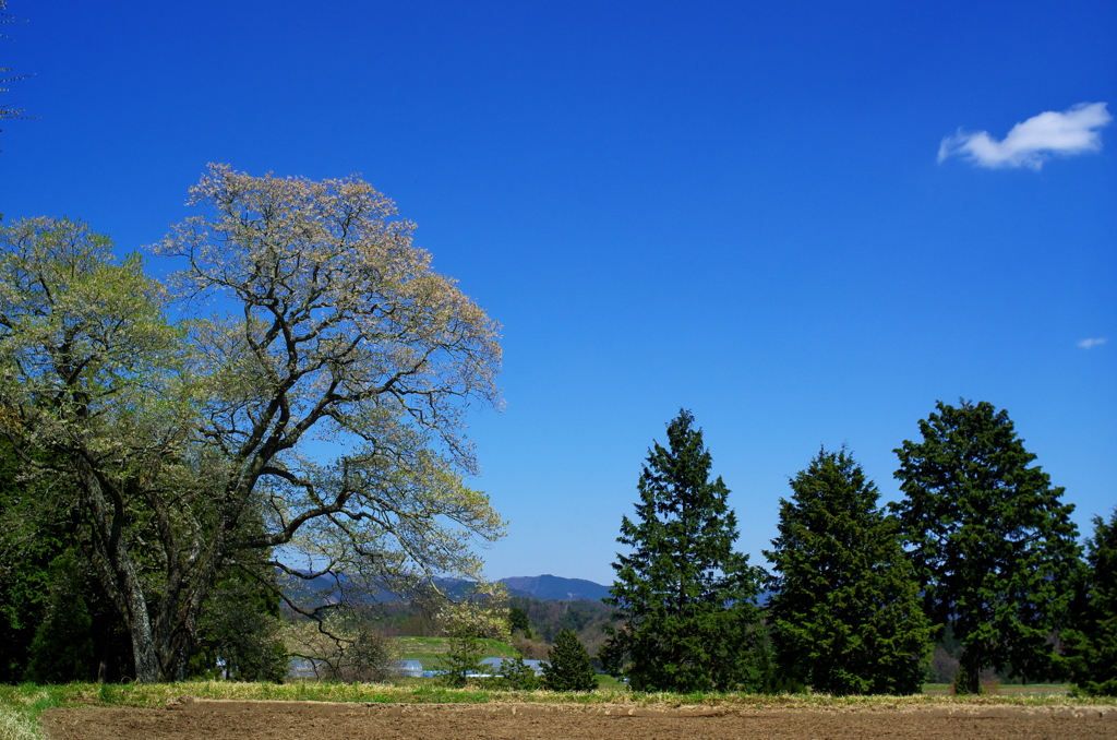 日本の原風景