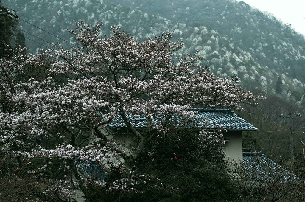 広島_御調八幡宮借景2