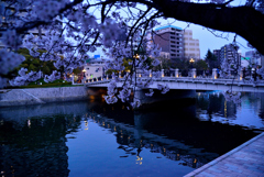 花見公園の夕景。。