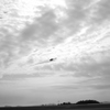 空。。