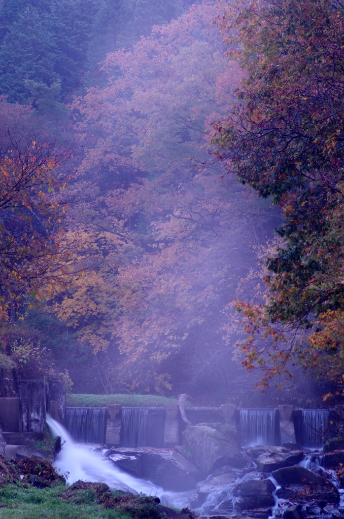 朝の情景。。