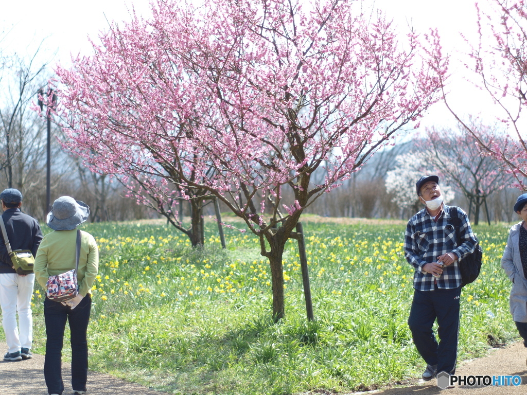 庄原　備北丘陵公園５