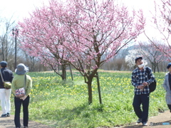 庄原　備北丘陵公園５