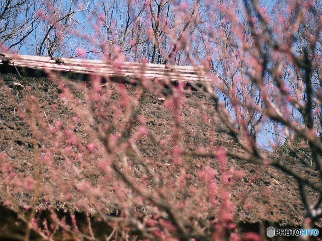 庄原　備北丘陵公園１９