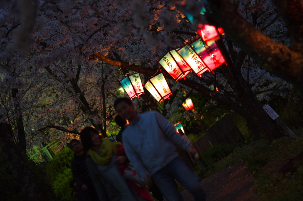 宵の桜。。