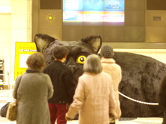 視線