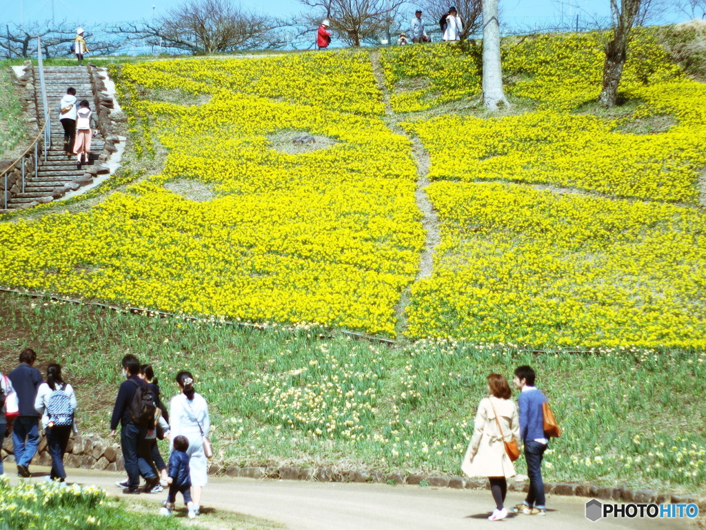 庄原　備北丘陵公園９