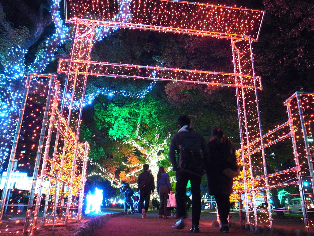 鳥居の下を歩く。。