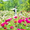 薔薇美人。。