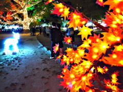 紅葉のツ～ショット高校生（＾＾）