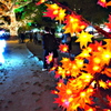 紅葉のツ～ショット高校生（＾＾）