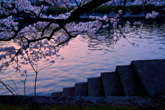 花見公園の夕景。。