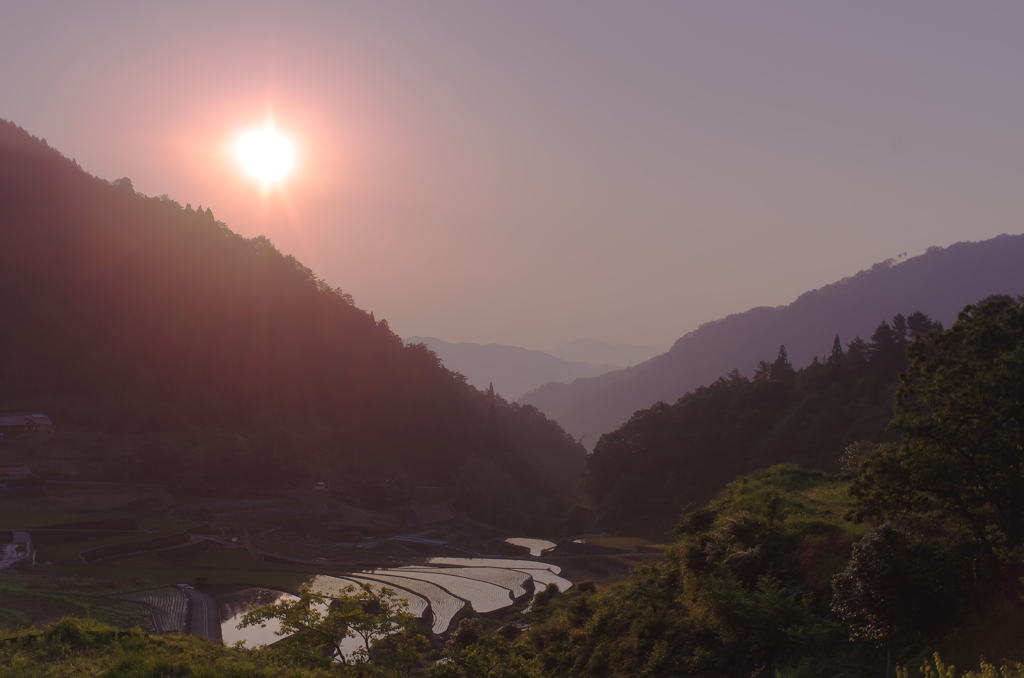 谷田の朝日。。