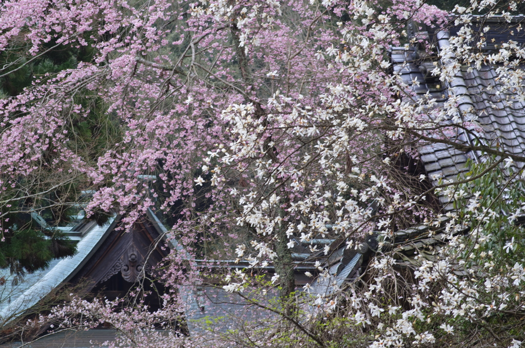 広島_御調八幡宮借景5