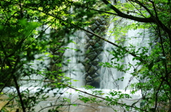 IMGP4653_2