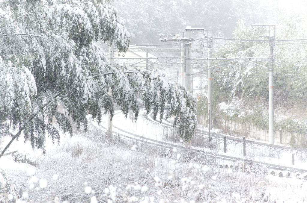 降雪。