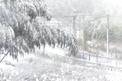 降雪。