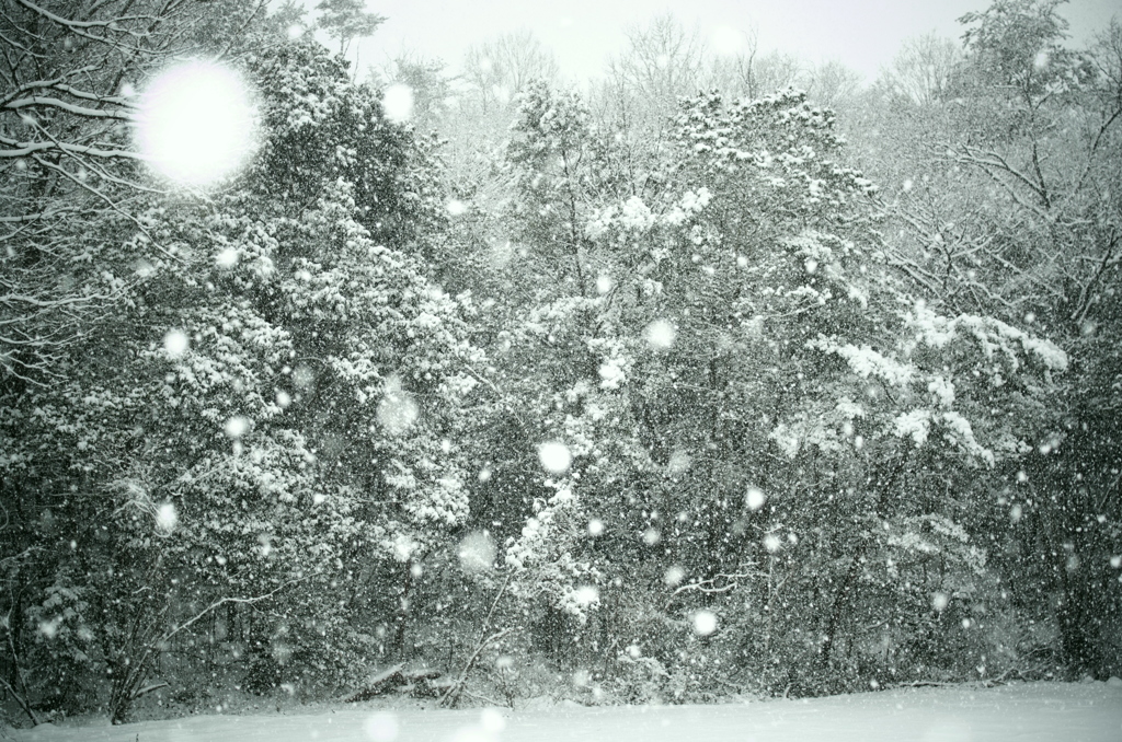 降雪。。