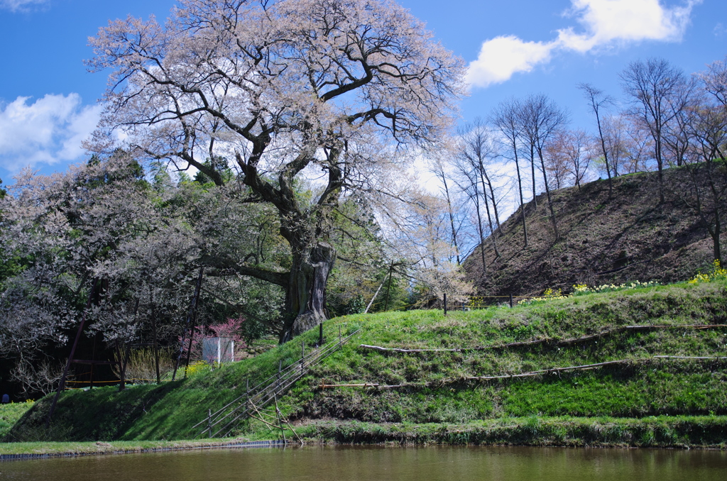 地域の自慢