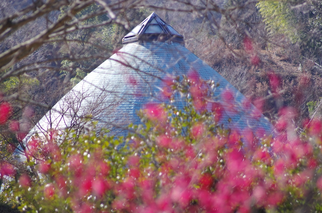 公園散歩。。