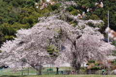 見応えあり。。