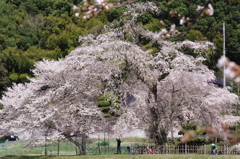 見応えあり。。