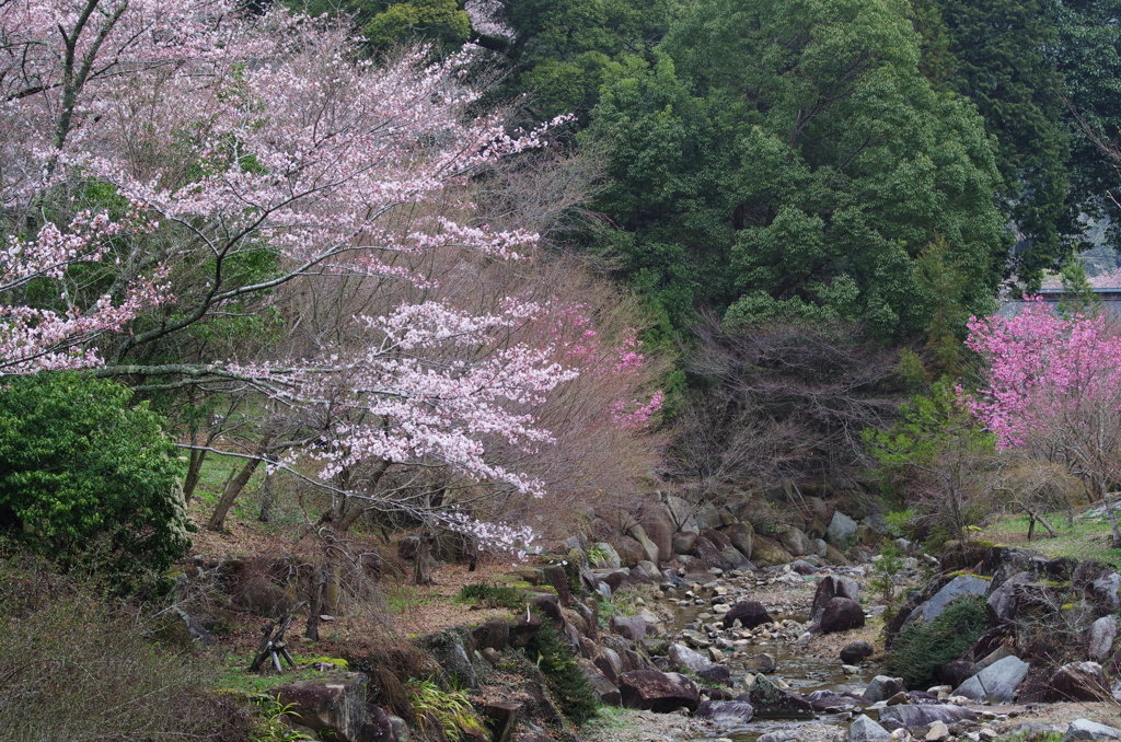 広島_御調八幡宮借景6