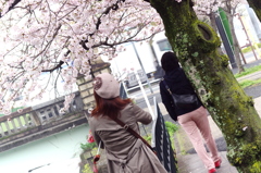 桜美人。。