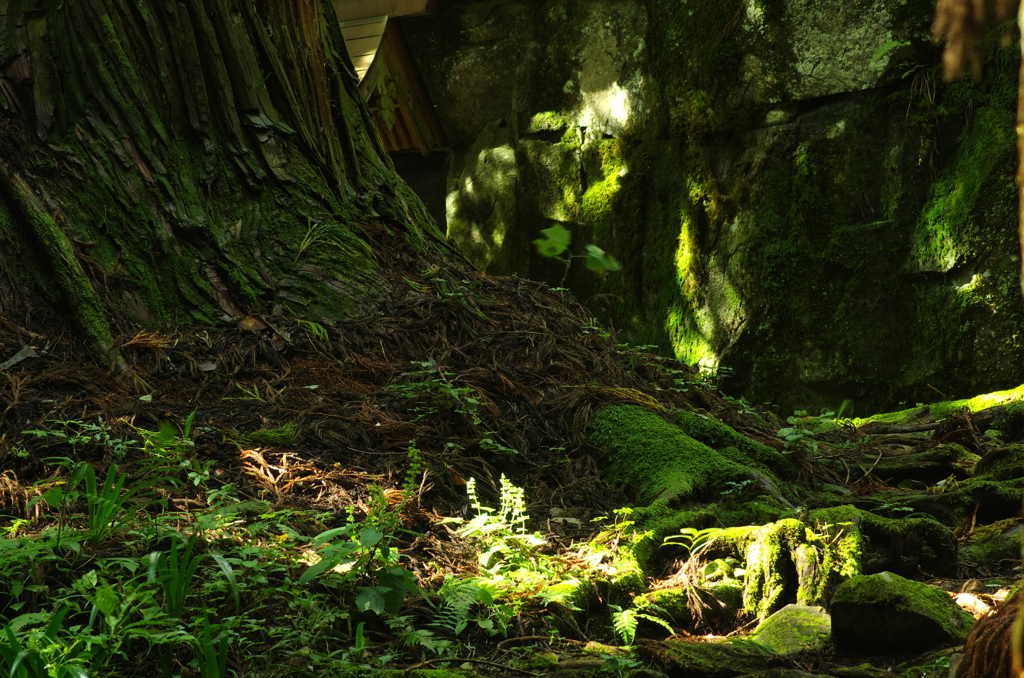 おまけ＿清涼感を君に。。