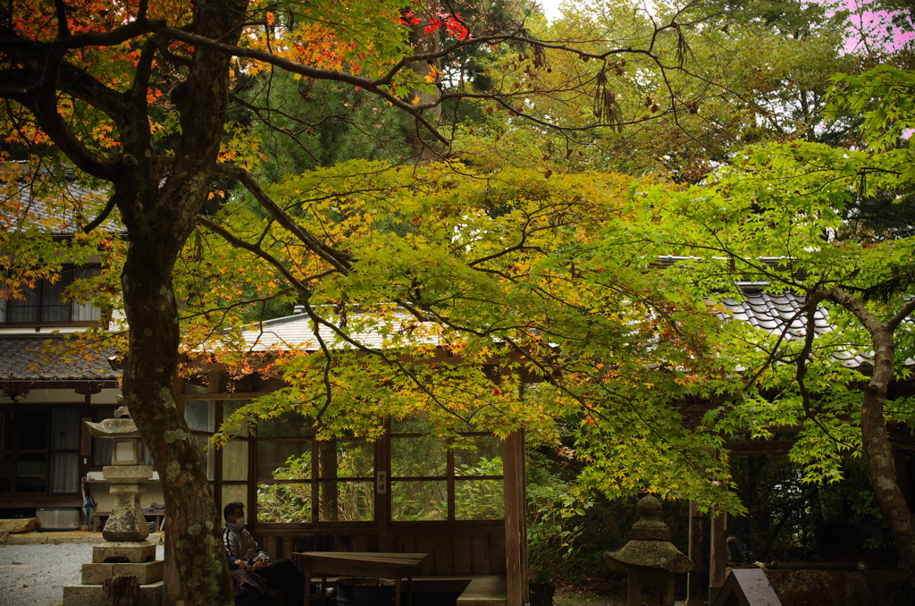 今高野山。。。