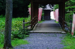 竹林寺境内に立つ。