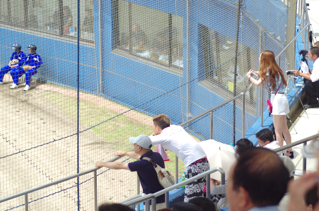 高校野球ファン