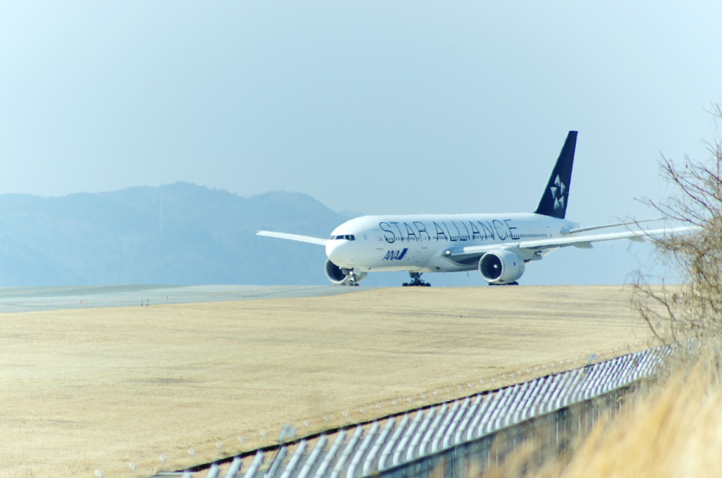 春を迎える空港。。