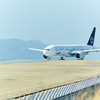 春を迎える空港。。