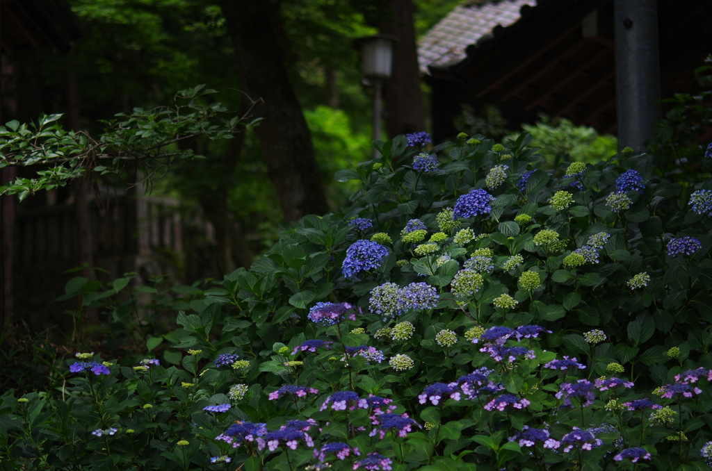 落ち着く風景。。