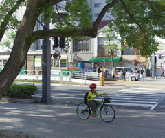 路面電車の在る風景。。