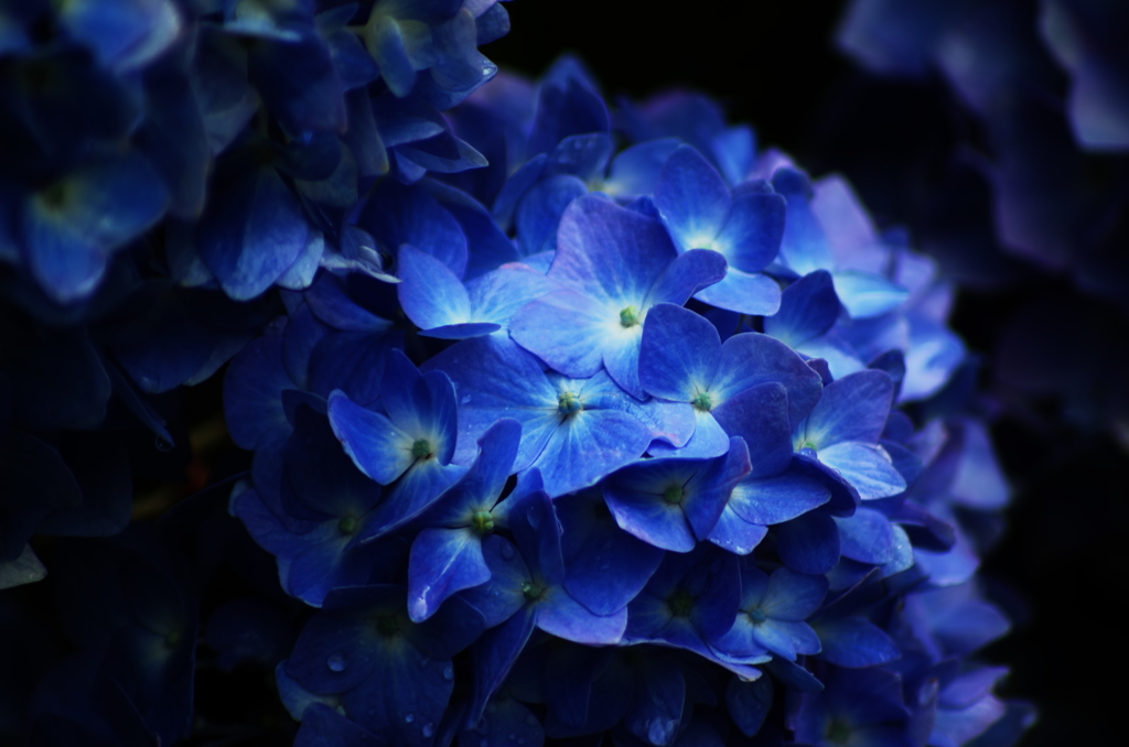 広島＿三景園借景＿１０