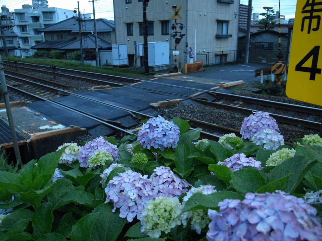 JR沿線_2