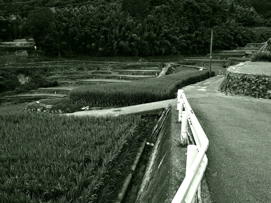 帰路＿14歳