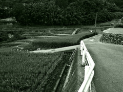 帰路＿14歳