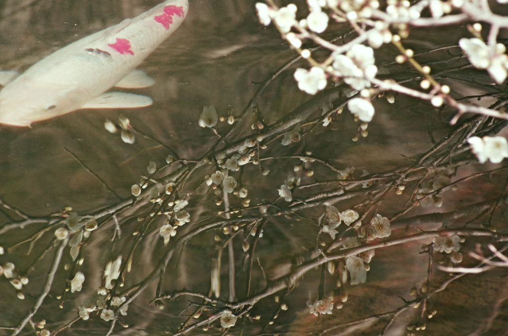 うつり気。。