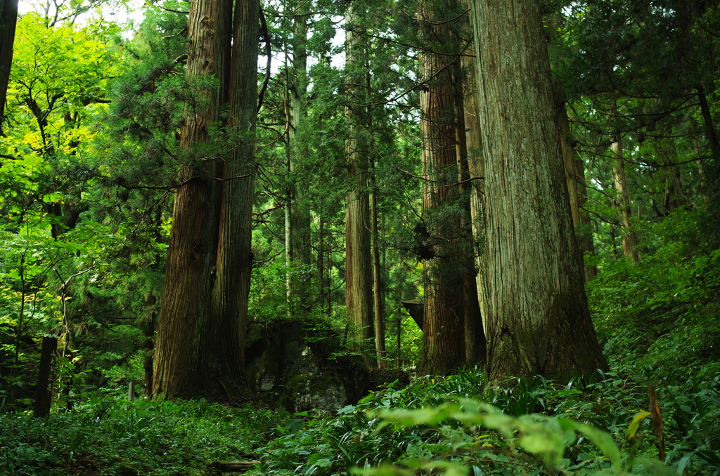 備後＿熊野神社借景