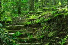 IMGP4618_2